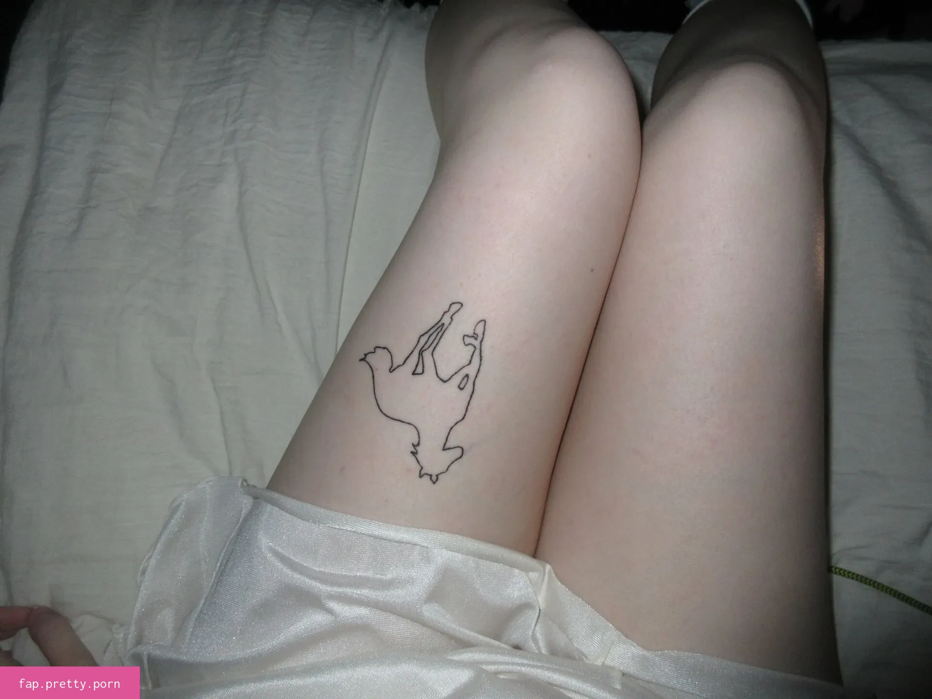 Spinechillx - Photo #02