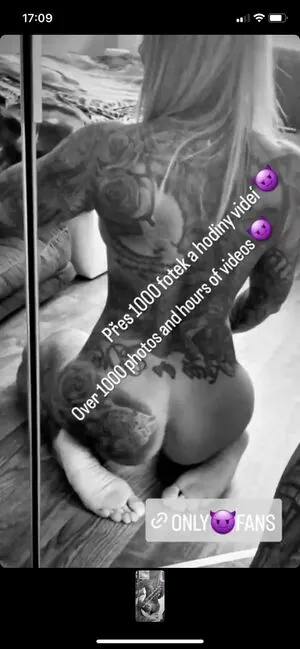 Silvie Stubenvoll content