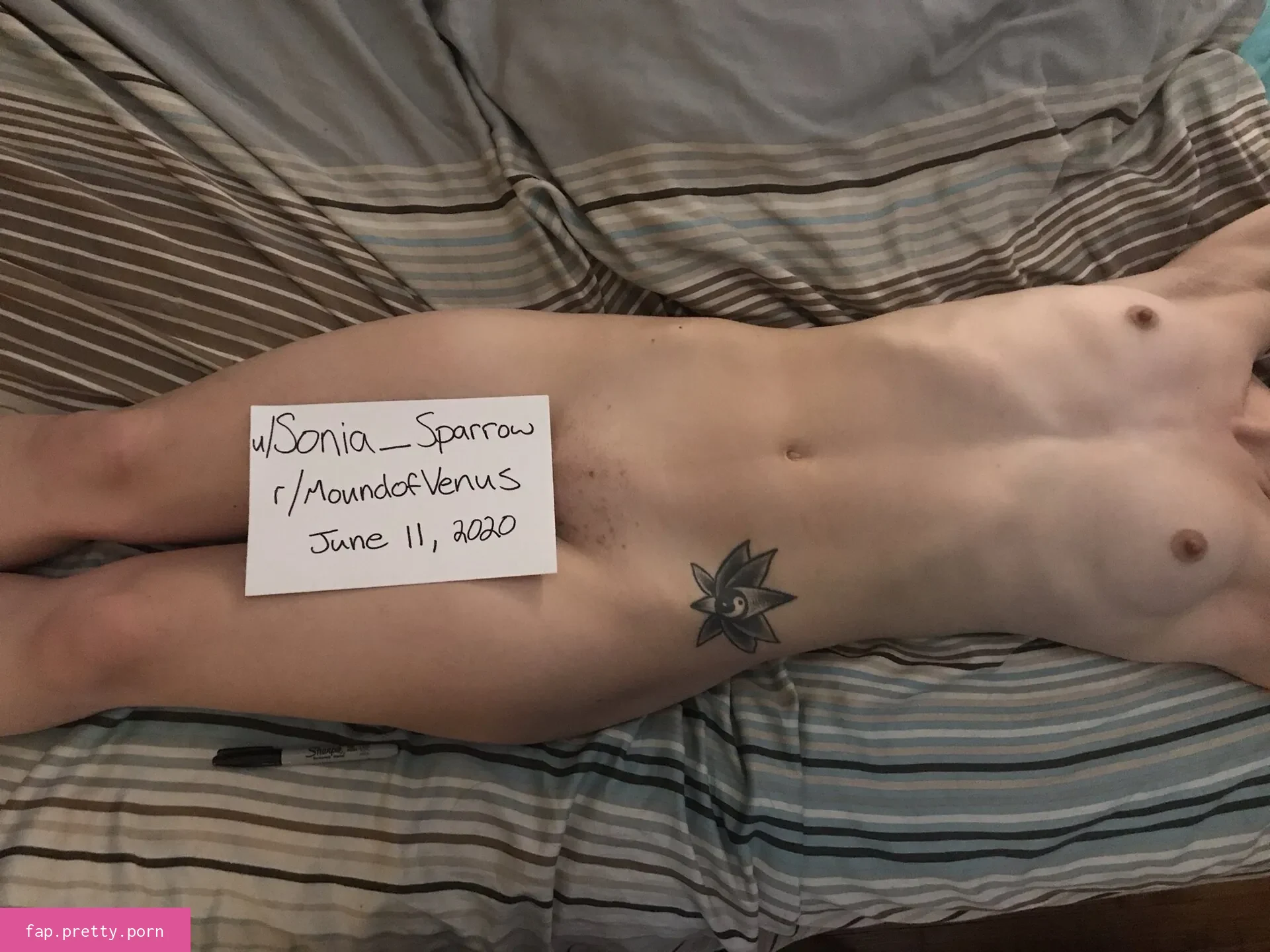 Sonia_Sparrow - Photo #93