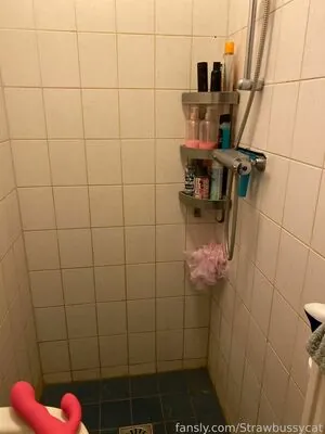 Strawbussycat content