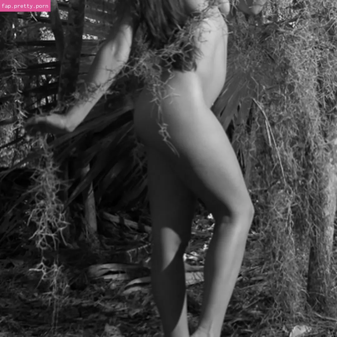 Sugarspins - Photo #27