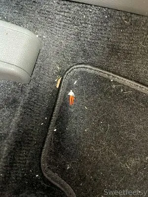 sweetfeetsyfree content