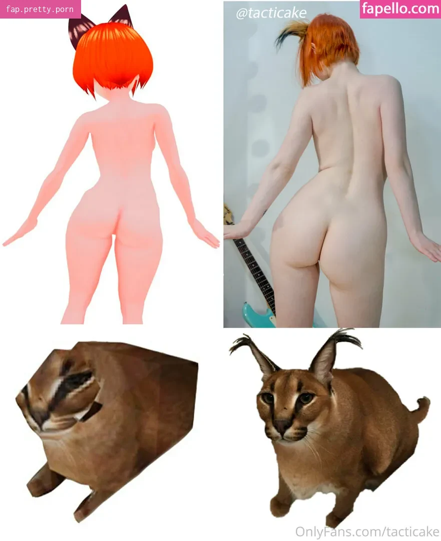 tacticake - Photo #07