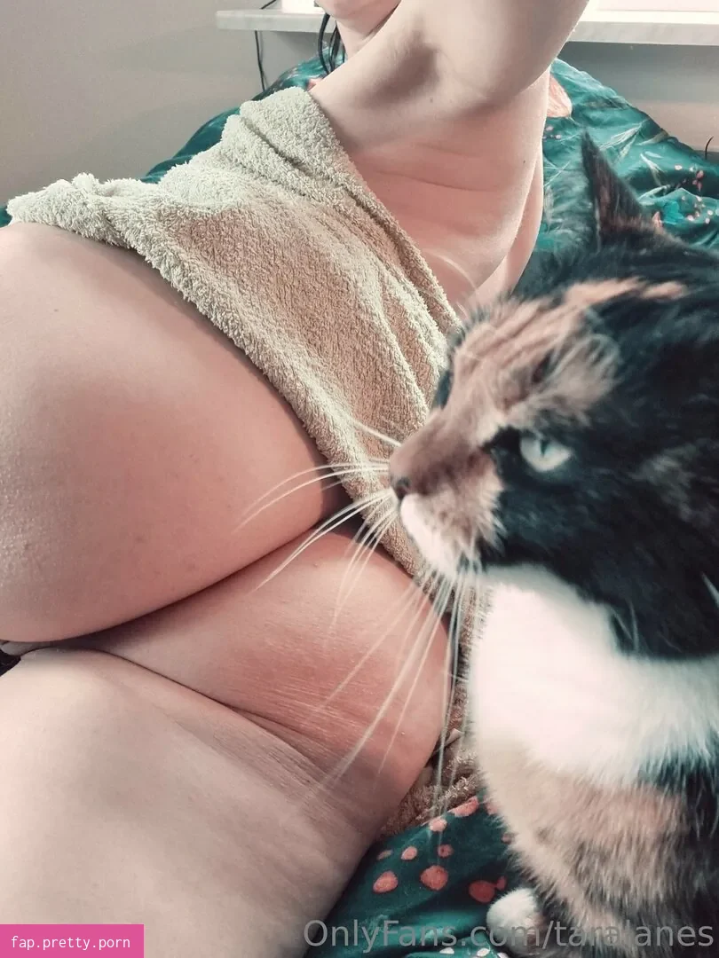 Taralanes - Photo #05