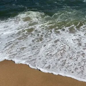 The Beachy Peach content