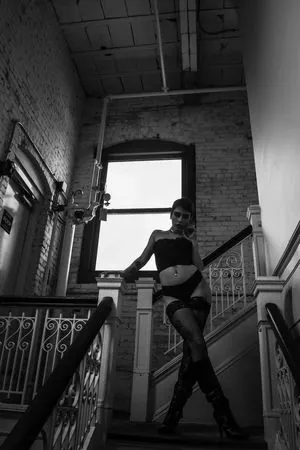 Taylor Evanchak content