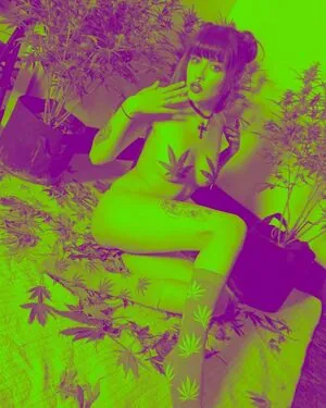 Taylor Evanchak content