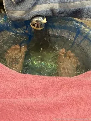 theapplejacked content