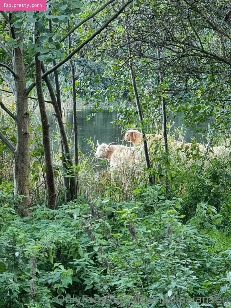 thenadinejansen - Photo #50