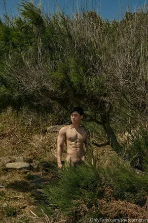 thetcornervn content