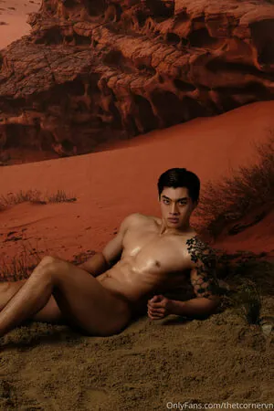 thetcornervn content