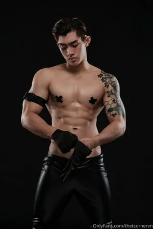 thetcornervn content