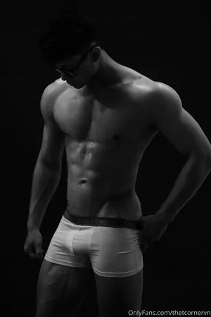 thetcornervn content