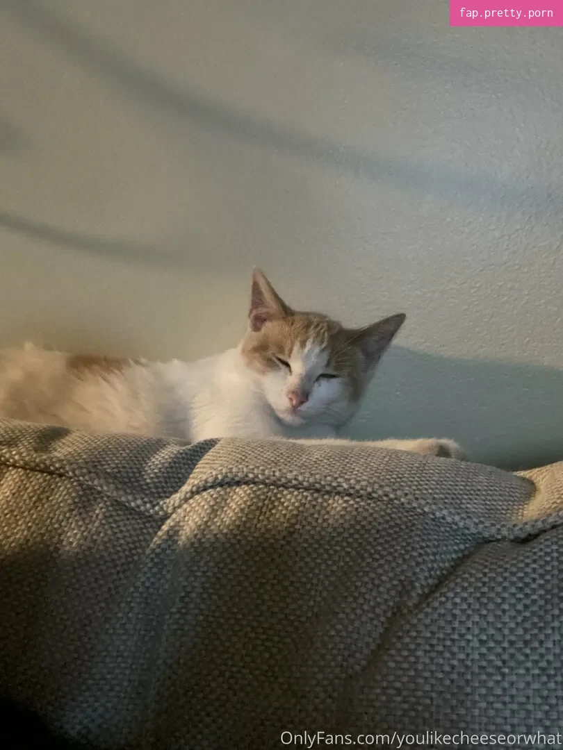 theultimatedeciever - Photo #21