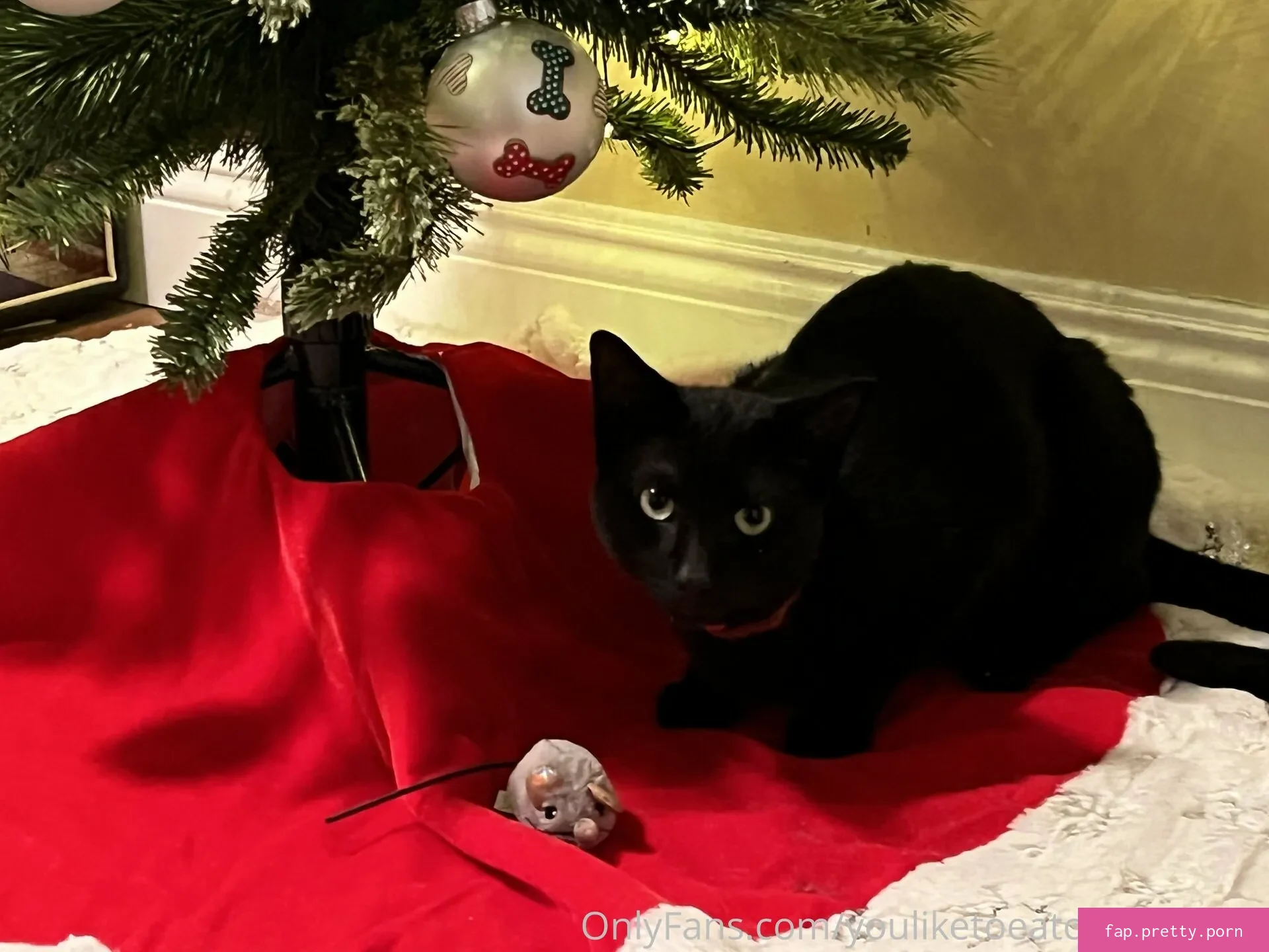 theultimatedeciever - Photo #36