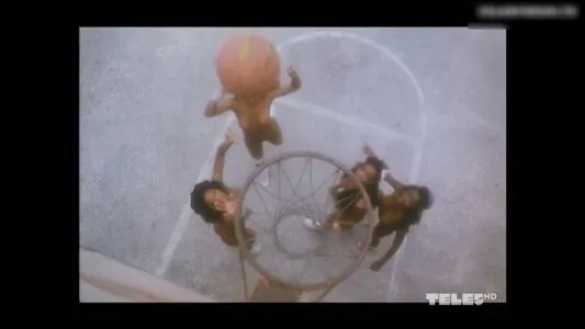 Tatjana Šimić content