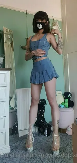 tinymixedpixie content