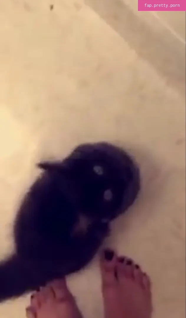 Trickywi - Photo #13