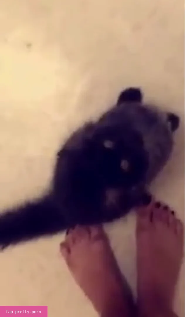 Trickywi - Photo #21