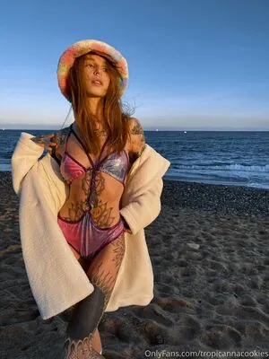 tropicannacookies content