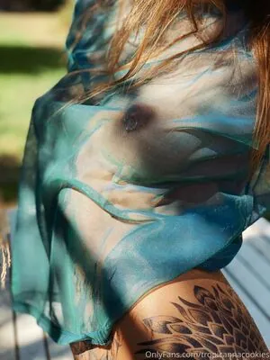 tropicannacookies content