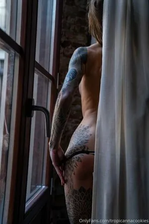 tropicannacookies content