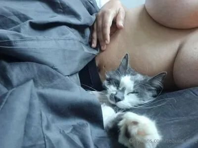 tequila_time content