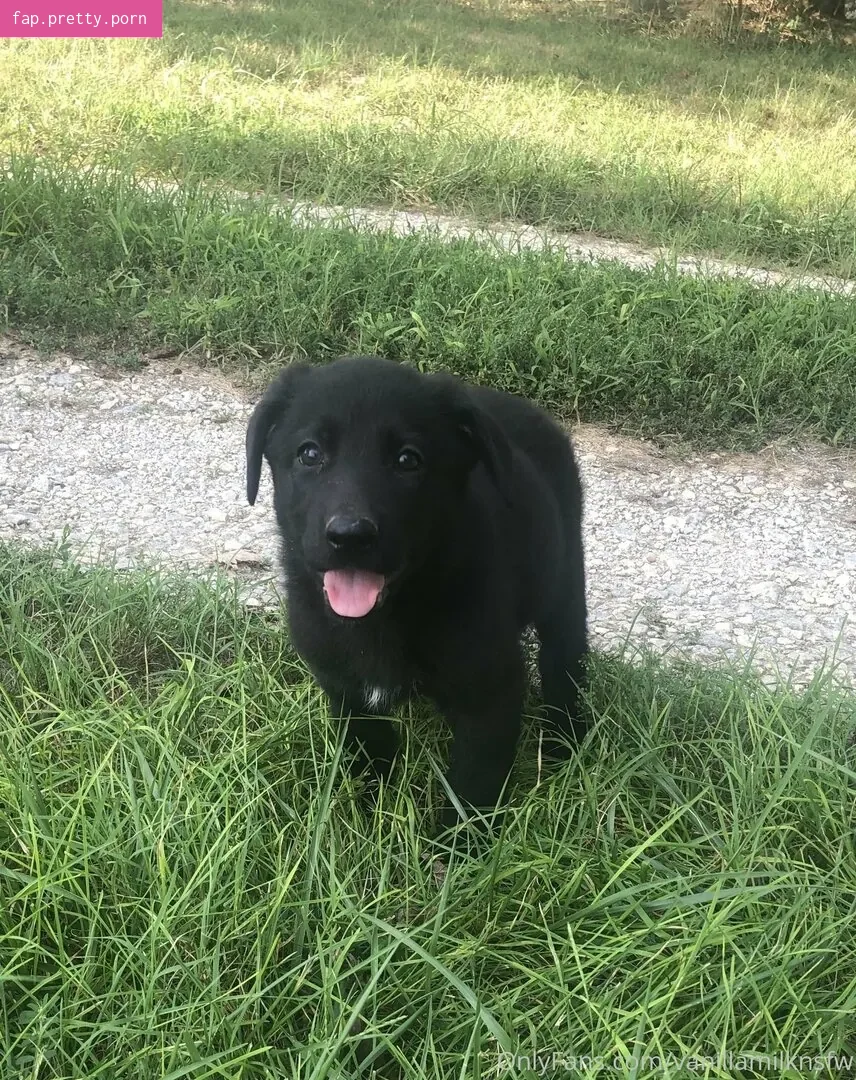 vanillamilknsfw - Photo #26