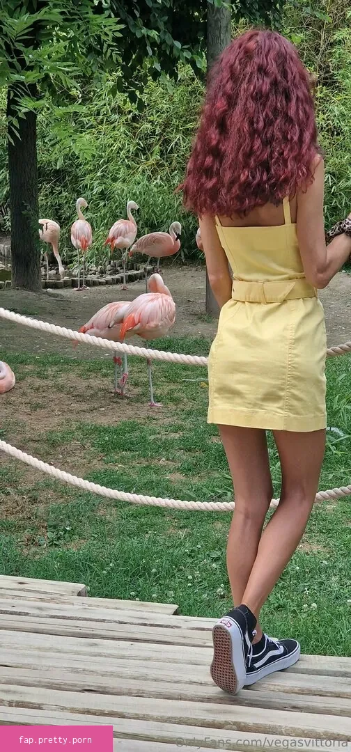 vegasvittoria - Photo #64