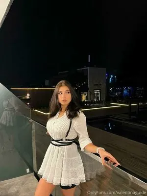 Valentina Guide content