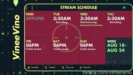 VineeVino content