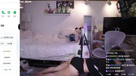 winter_28270 content