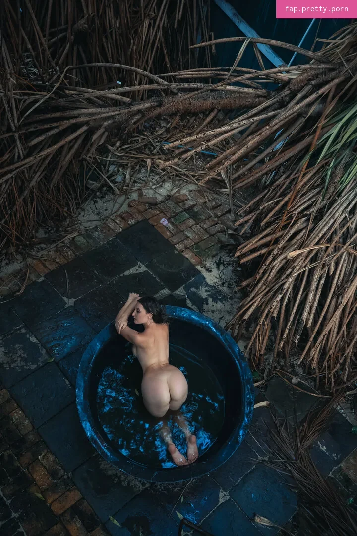 WolfTheWild - Photo #28