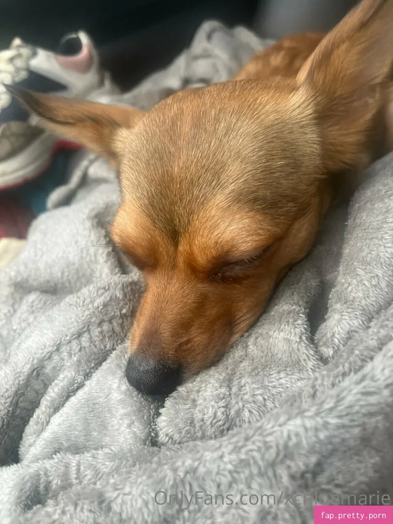 xchloemarie - Photo #23