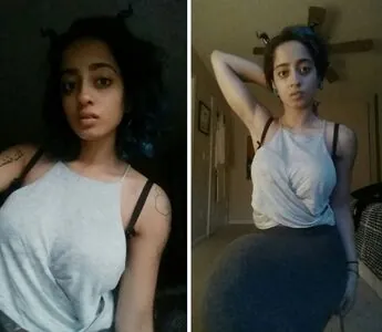 xxxchihuahua content