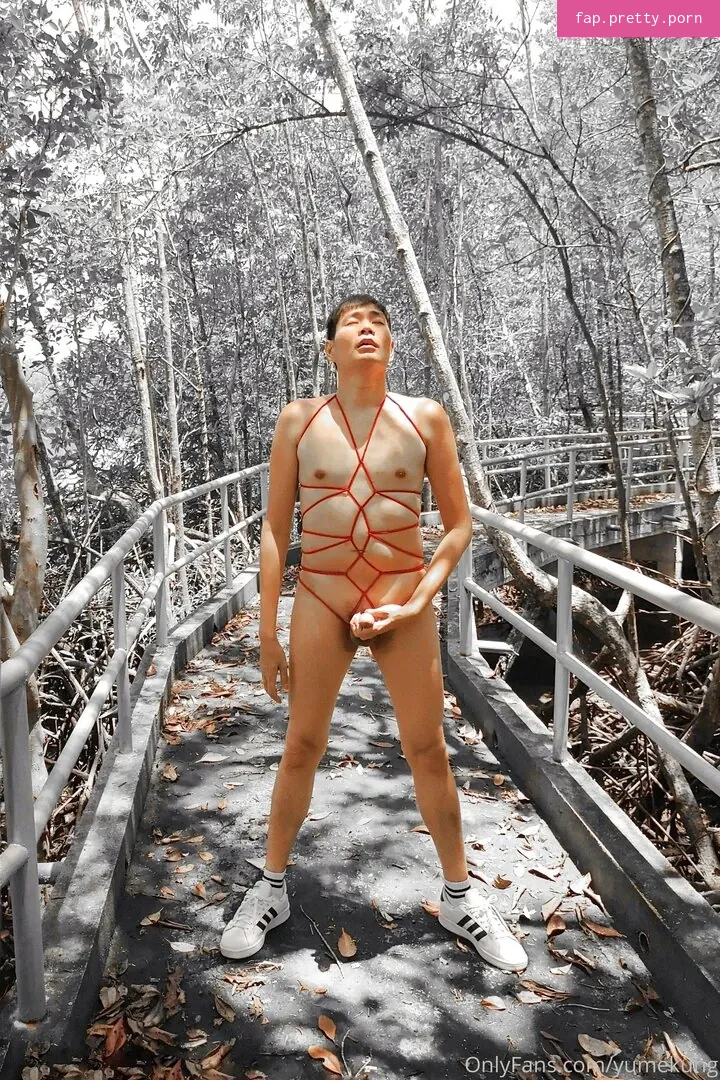 yumekung - Photo #14